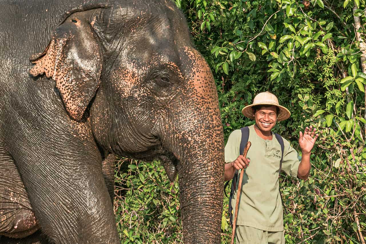 What to Expect at Kulen Elephant Forest: A Visitor's Guide